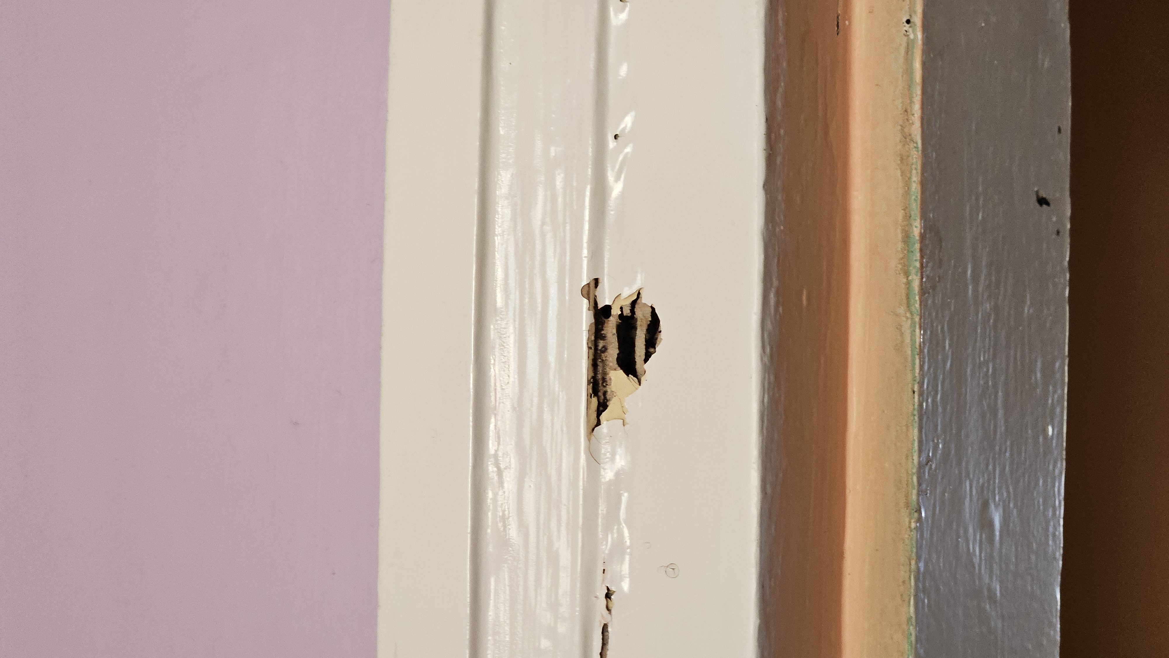 Encadrement de porte attaqué — bois mis à nu