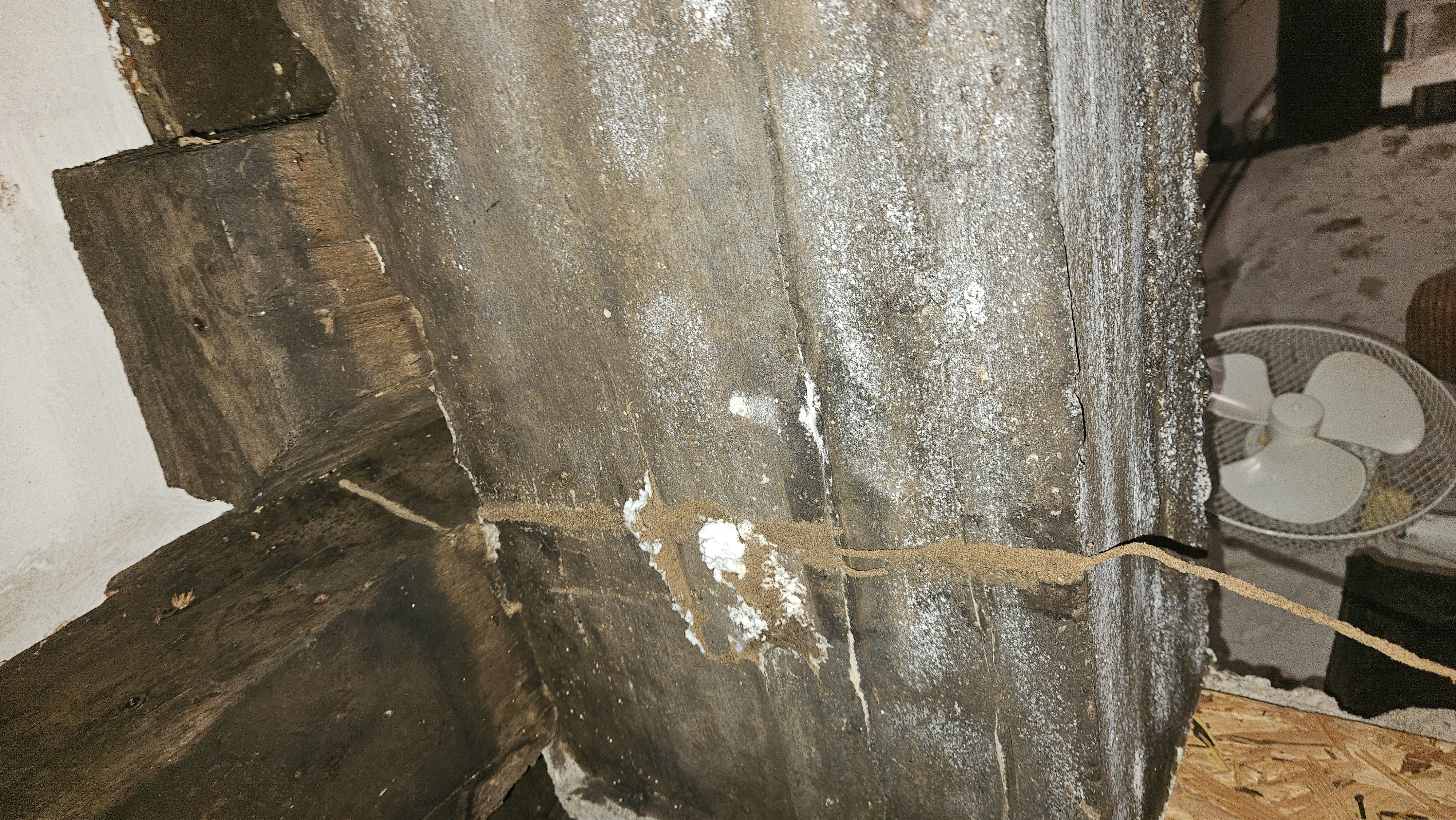 Cordonnet sur poutre de cave bordelaise