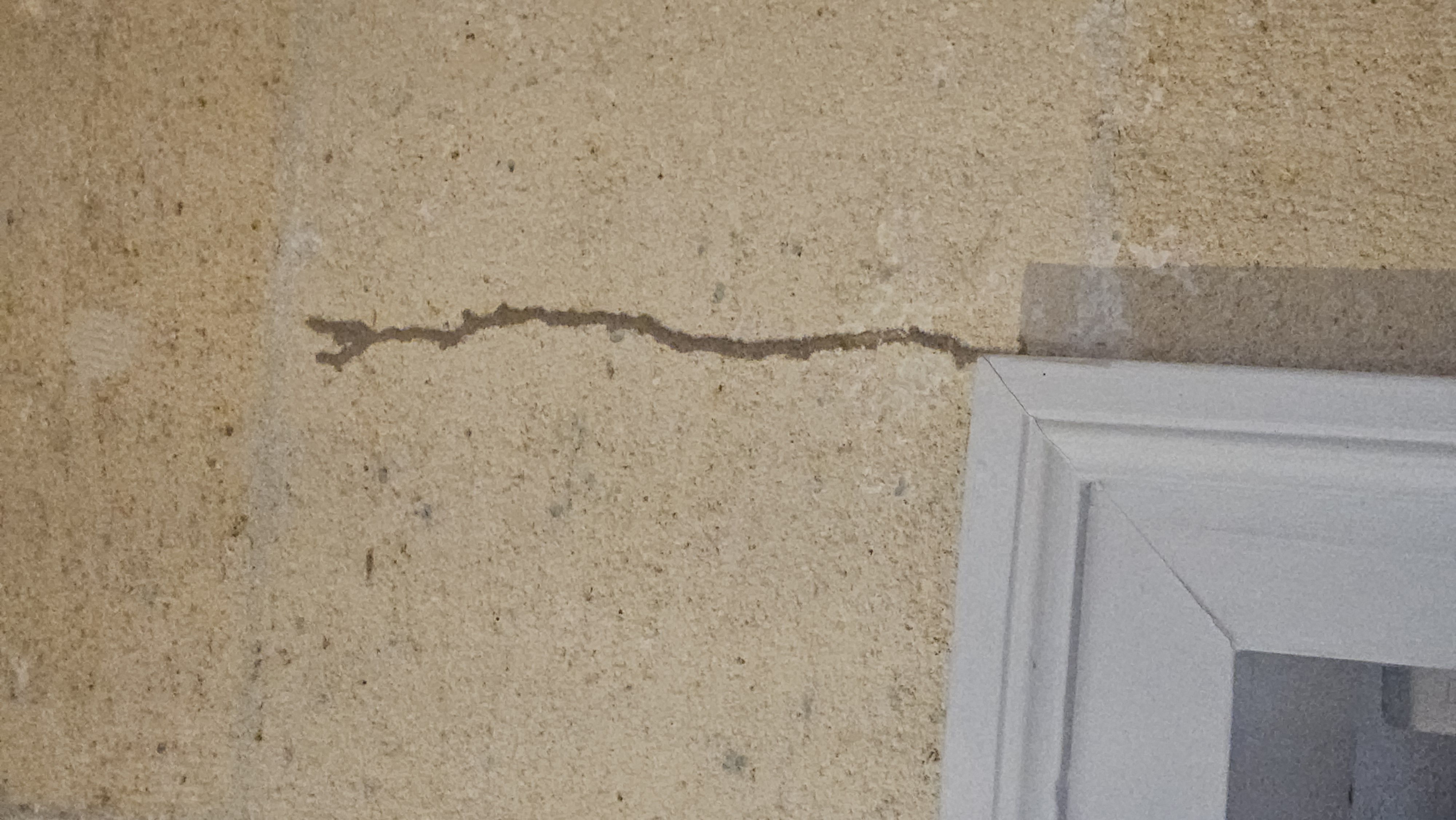 Cordonnet sur mur en pierre bordelaise