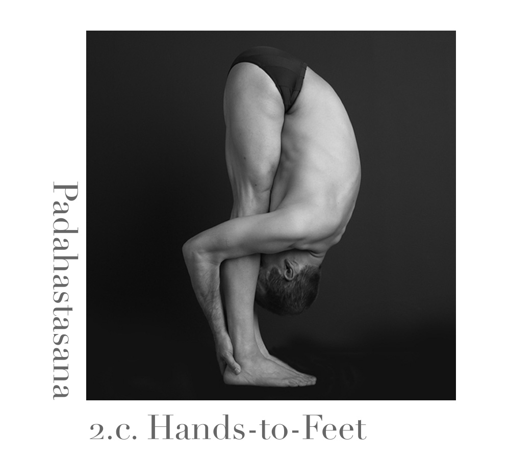 Padahastasana — Hands-to-Feet