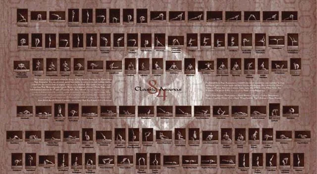 Classic 84 Asanas — Tony Sanchez Commemorative Poster