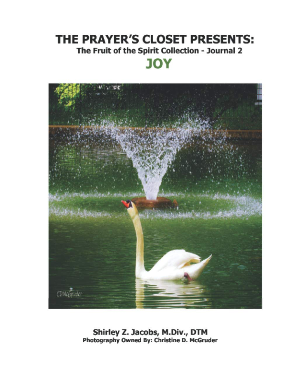 Fruit of the Spirit · Journal 4 — LONG-SUFFERING