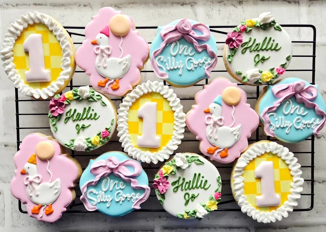 One Silly Goose — Hallie Jo’s 1st