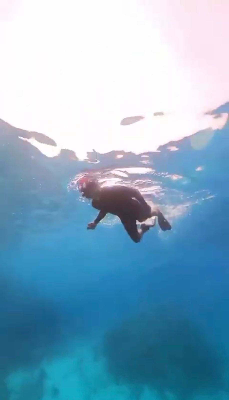 Red Sea Underwater World