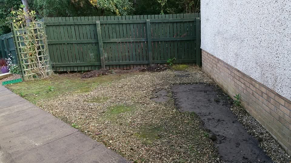 House Side Lawn Transformation before