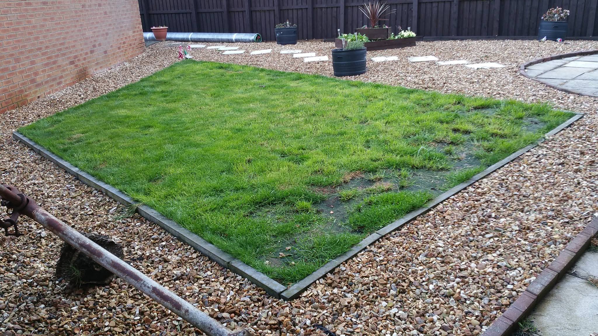 Gravel-Bordered Rectangular Lawn before