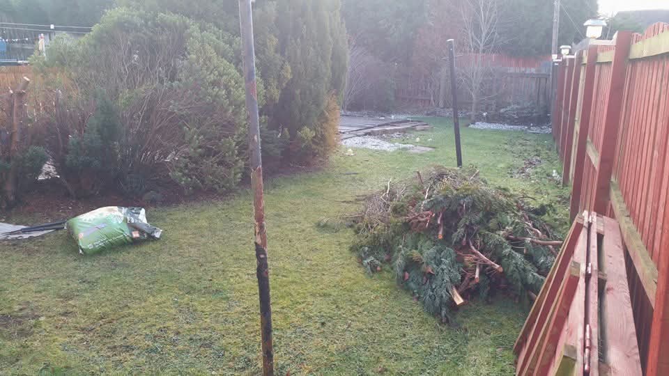 Deck & Artificial Grass Transformation photo 4